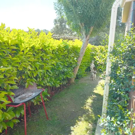 Apartment Bilo Noel